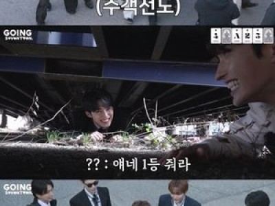 고잉 세븐틴 새 시즌도 여전히 인기 끝판왕
