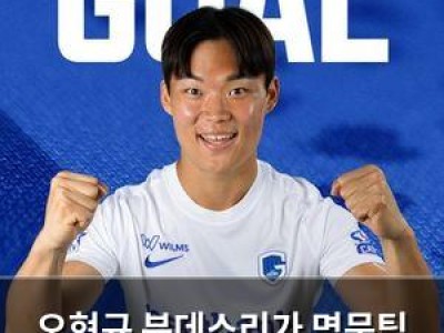 오현규 분데스리가 명문팀 이적 확정