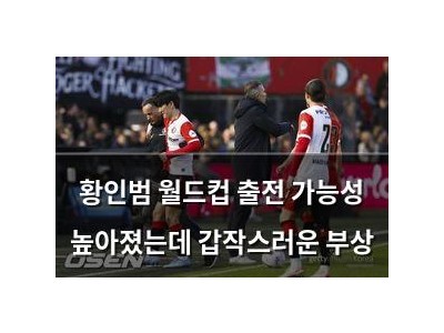 황인범 월드컵 출전 가능성 높아졌는데 갑작스러운 부상
