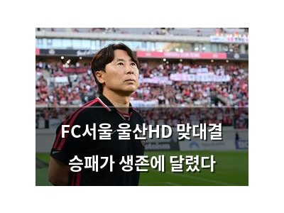 FC서울 울산HD 맞대결 승패가 생존에 달렸다