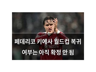 페데리코 키에사 월드컵 복귀 여부는 아직 확정 안 됨