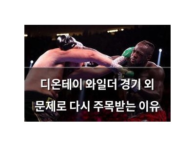 디온테이 와일더 경기 외 문제로 다시 주목받는 이유