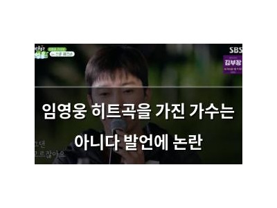 임영웅 히트곡을 가진 가수는 아니다 발언에 논란
