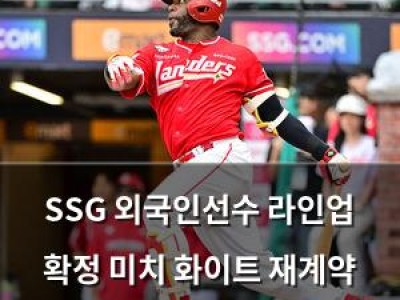 SSG 외국인선수 라인업 확정 미치 화이트 재계약 결정